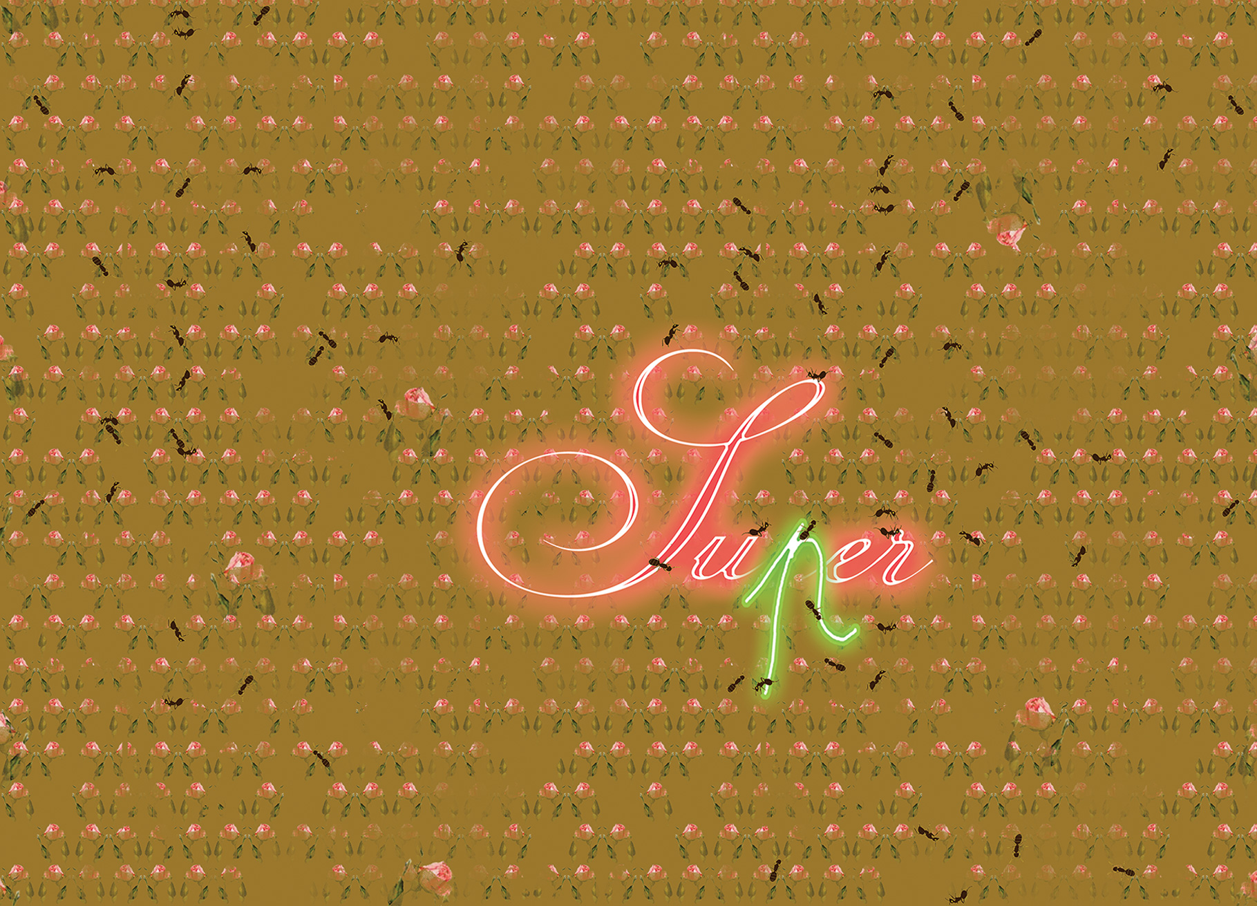 Visuels carte postale 2023 avec super et fourmi valtin marina designbook pattern designer graphic designer novembre 2022 montpeller Visuels-carte-postale-2023-avec-super-et-fourmi-valtin-marina-designbook-pattern-designer-graphic-designer-novembre-2022-montpeller.jpg